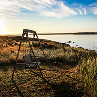 手机号网页在线轰炸源码