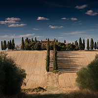 账号测试码的虚拟号码短信发送平台